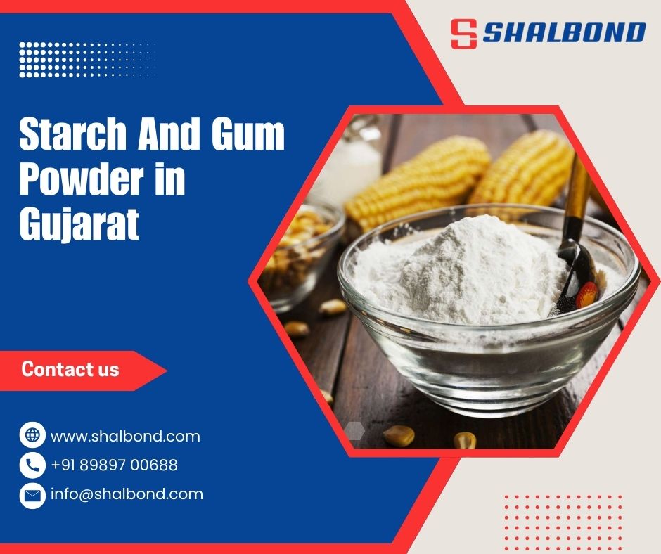 Starch And Gum Powder in Gujarat